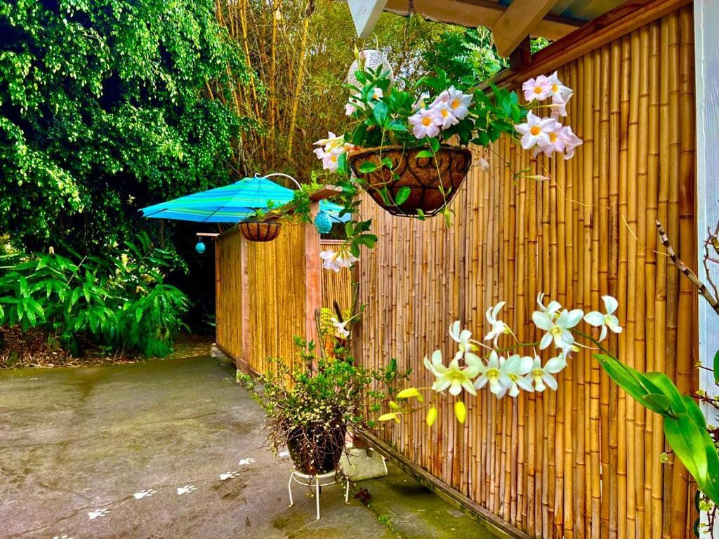 Kailua Kona Overlook Suites 외부 사진
