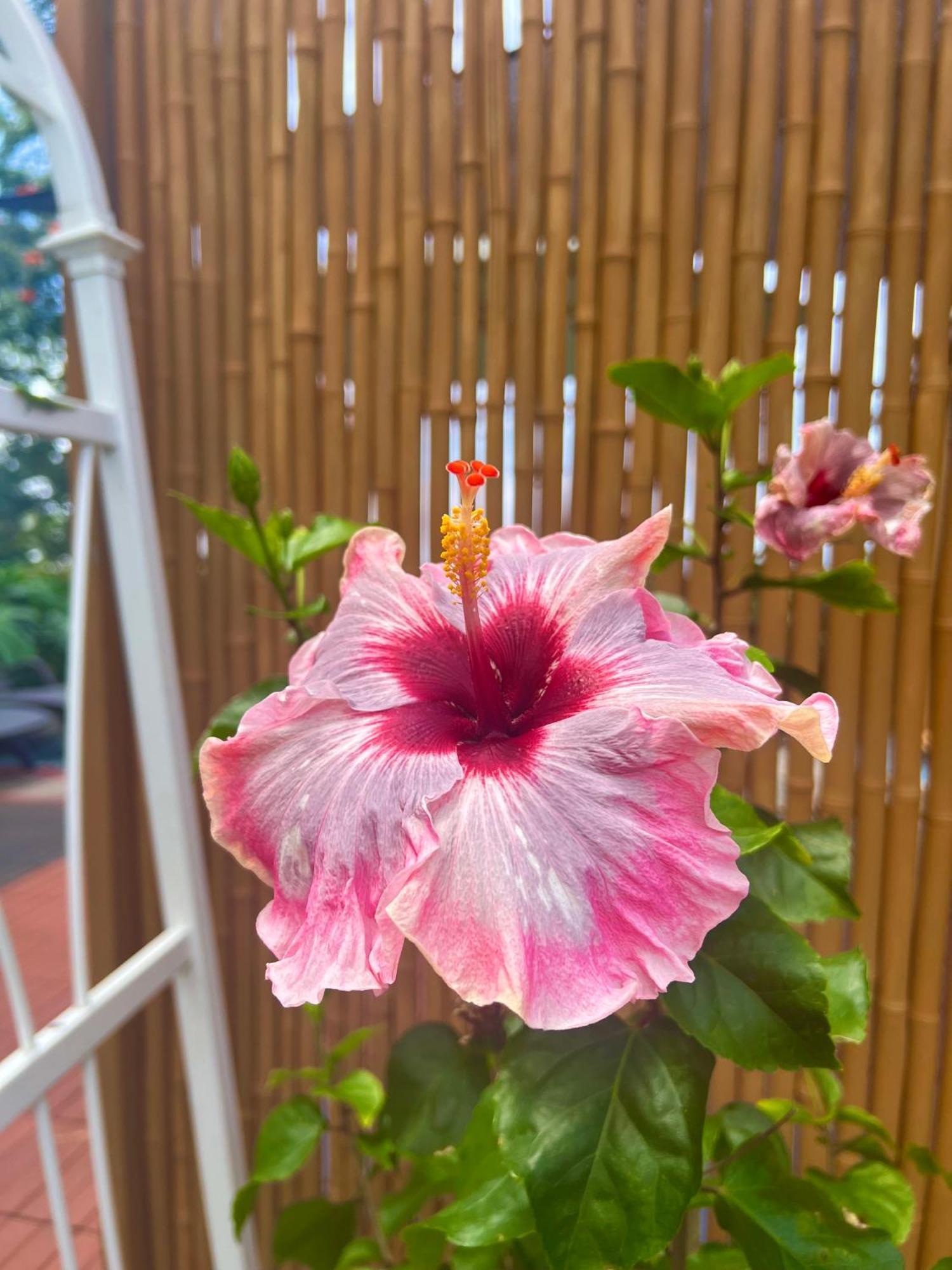 Kailua Kona Overlook Suites 외부 사진
